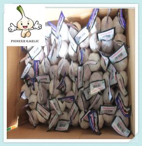 China China natural peeled garlic with good price The natural garlic at competitive price factory