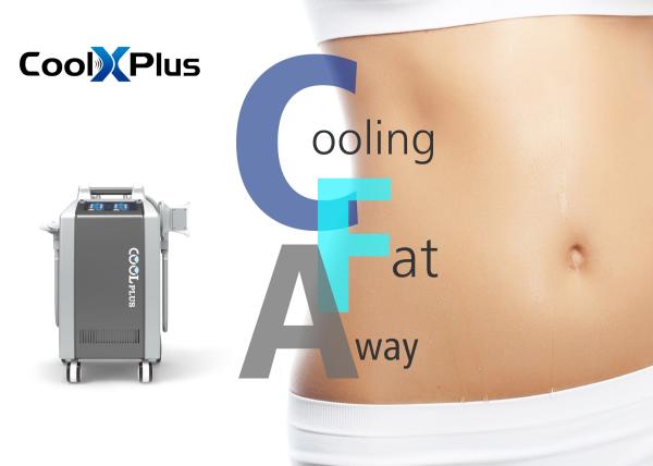 Best Price Cryolipolysis Vacuum Therapy Machine For Body Shaping Newest Fat