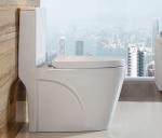 Bathroom Porcelain One Piece Toilet Elongated Sanitary Ware Toilet