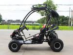 125cc Single Cylinder 2 Seater Go Kart 4 Storke 154FMI With 3L Tank