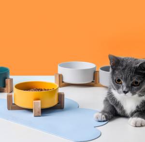 China High Feeding Station Elevated Slow Food Bowl For Dog Cats factory