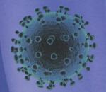 CE Covid-19 Antigen Rapid Test Kit