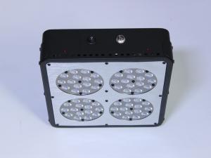 China CIDLY 4 diy led grow light kits led indoor growing for grow tent factory