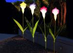 LED Simulation Calla Lily Lights Park Lawn, Beautiful Display, Decorative