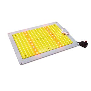 China AC240V Red 660nm Indoor LED Grow Lamp For Aquarium factory