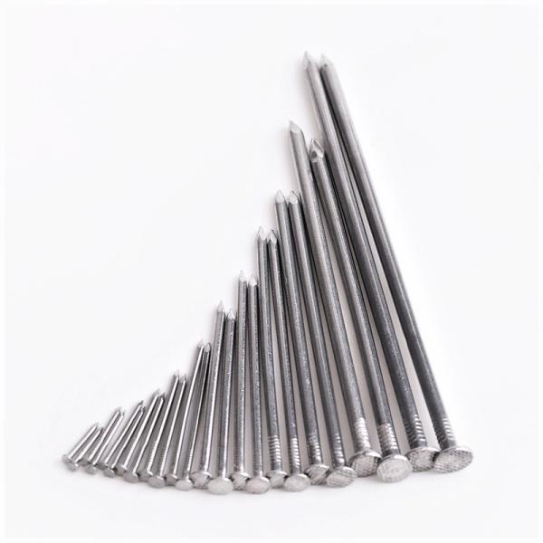 Roofing Hardware Accessories 10 Flat Head Carbon Steel Iron Nail with HDG