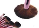 Essential 11pcs Professional Makeup Brush Set Wooden Handle Goat Hair Leather