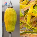 1.0KW 120KG Peeler jackfruit papaya pumpkin wax gourd peeler all kinds of fruit