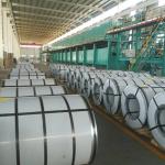 Galvanized PPGI Coated Coil RAL 9001 9002 9003 1219mm 1500mm Good Z121-Z180