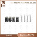 Common Rail Repair kit 7135-523 High Speed Steel 4pcs