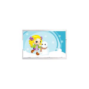 China hot sell 6.3 inch TL063FYMC41 1080*2340 LCD Panel factory