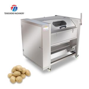China 180KG Manufacturers R &amp; D large, medium and small brush cleaning machine automatic sea cucumber cleaning machine factory