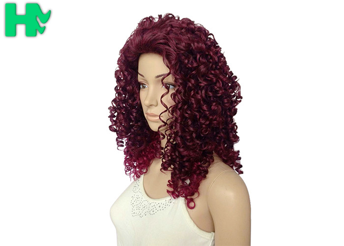 Kinky Curly Long Synthetic Wigs Natural Hair Line Mixed Color For Women