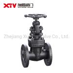 Ordinary Temperature Xt ANSI Flange Gate Valve Z41W with Initial Payment