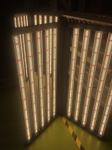 1000W LED Grow Light Full Spectrum PPE 2.8 Gold Heat Sink Width Board Light Bar