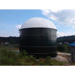 China World Popular High Efficiency Enamel Assembled Biogas Digester Tank on sale