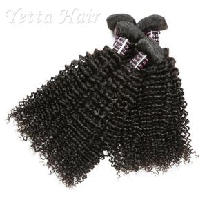 China Wet And Wavy 100 Indian Human Hair Weave With Unprocessed Natural Curly factory