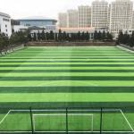 FIFA Approved Premium SBR Rubber Granules For Competition-Grade Football Field