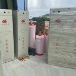 red 100L FM200 Gas Suppression System Professional Manufacturers Direct Sales