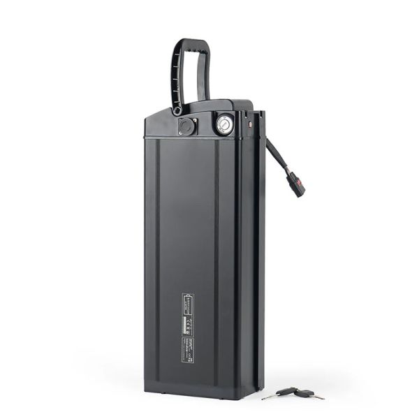 China Electric Mountain Bike Lithium Battery Pack 48V 30ah 1500w factory