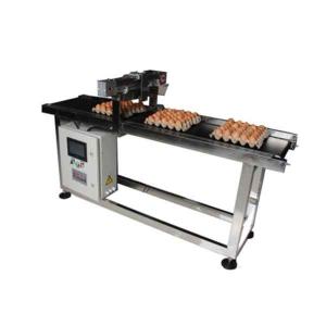 China 400W Inkjet Printer Egg Conveyor Belt Systems Display Screen on sale