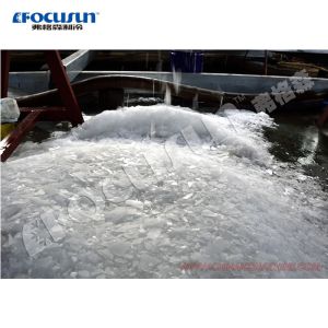 5 Ton Fresh Water Flake Ice Machine with Big Ice Size 40*40mm and PLC Core