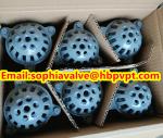 PN16 GG20 BS21 cast iron foot valve