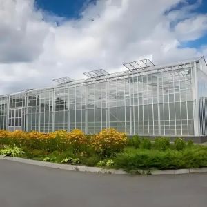 China Galvanized Steel Venlo Greenhouse Commercial Polycarbonate Greenhouse With Hydroponic Growing System on sale