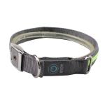 Christmas LED Dog Collar / Dog Training Collar Dog Leashes And Collars