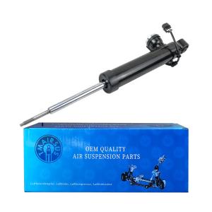 China 22857108 20853196 Air Suspension Shock Absorber Strut For Cadillac SRX Rear Left Car Air Suspension factory