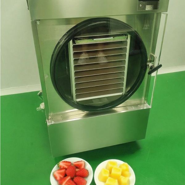 SUS304 Stainless Steel Shell Small Freeze Dryer for Graphene
