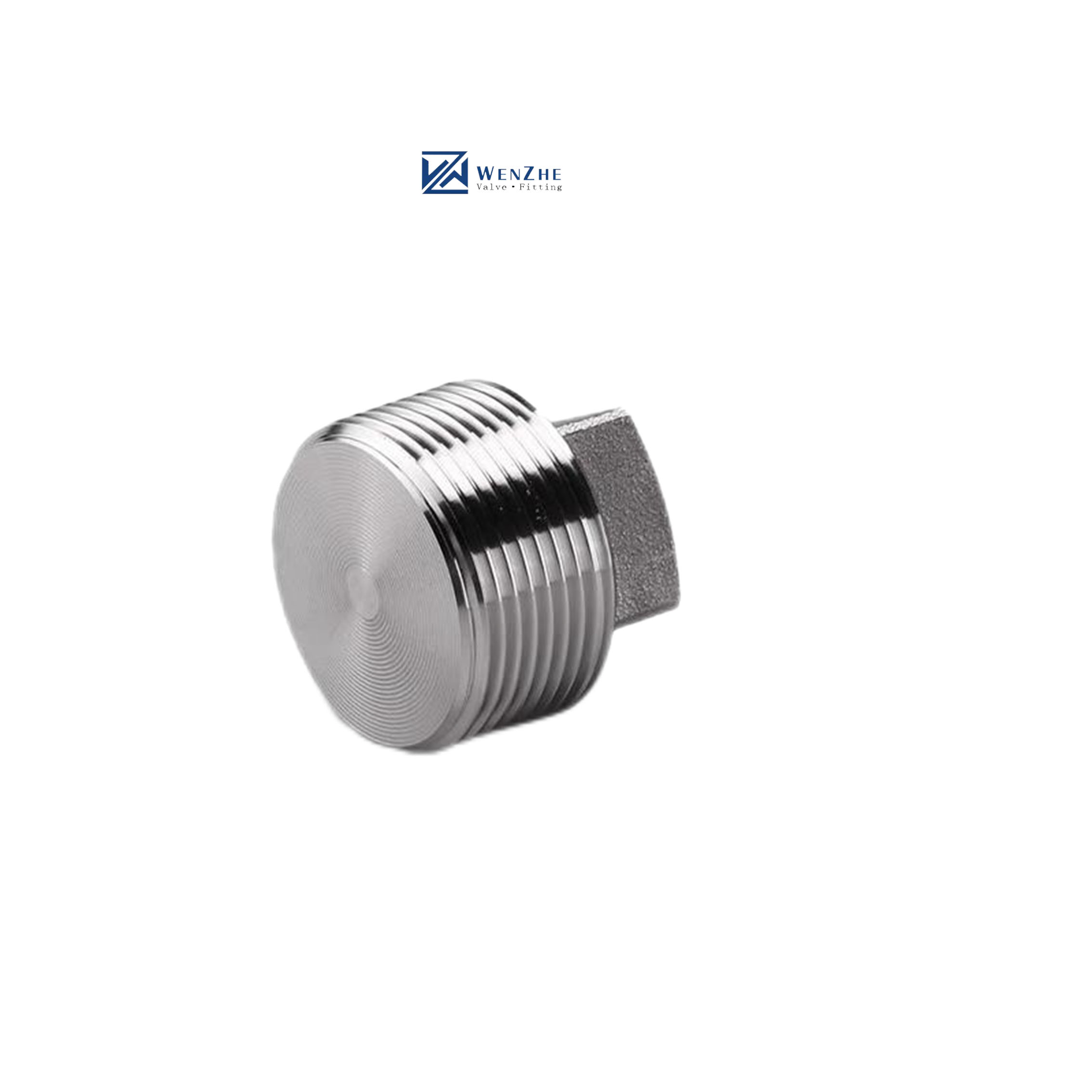 Silver Coated WZ Stainless Steel 304 316 316L High Pressure Forged Square Plug NPT BSPT