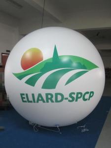 China 2014 Fast Shipping Products Heart Shaped Inflatable Helium Balloon factory