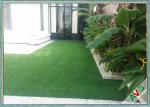 Fake Grass Carpet Outdoor Artificial Grass For Residential Yards / Play Area