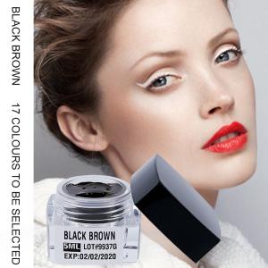 China Micropigmentation Black Brown Semi Permanent Makeup Pigments for Manual Eyebrow Tattoo factory