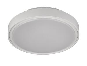 China Changeable Warm White IP67 20W Circular Ceiling Light factory
