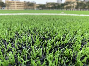 China AVG 60mm Turf Grass Carpet For Factory Soccer Football Field Outdoor factory