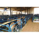 Steel Metal Sheds Cow Pig Houses Prefab Poultry House Roller Door Construction