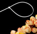 Nylon Cable Tie 8 Series Self Locking Cable Tie/Self-locking White Heavy Duty