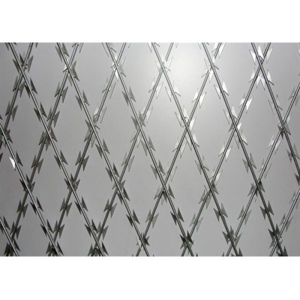 China Ss 304 Hot Dip Galvanized Razor Sharp Barbed Wire Cbt-65 33 Loops Security factory