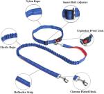 Adjustable Hands-Free Pet Dog Running Leashes Custom Logo Long Waist Double