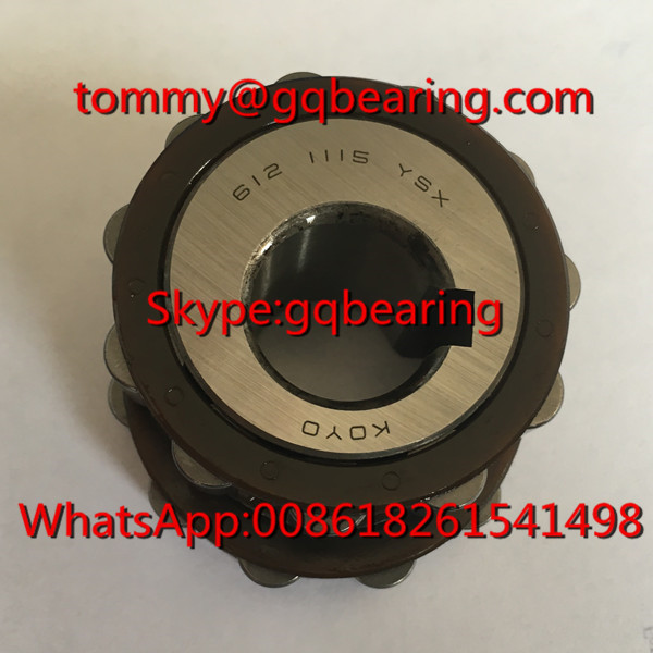 Koyo 612 1317 YSX Nylon Cage Roller Bearing 6121317YSX Eccentric Bearing
