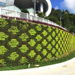 Wall Hanging Flowerpot Planter for Flower/Green Plant Vertical Display