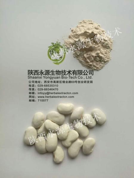 White Kidney Bean Extract 3000 units/g, 10:1，phaseolin1-3%, Chinese manufacturer