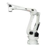Palletizing Robots