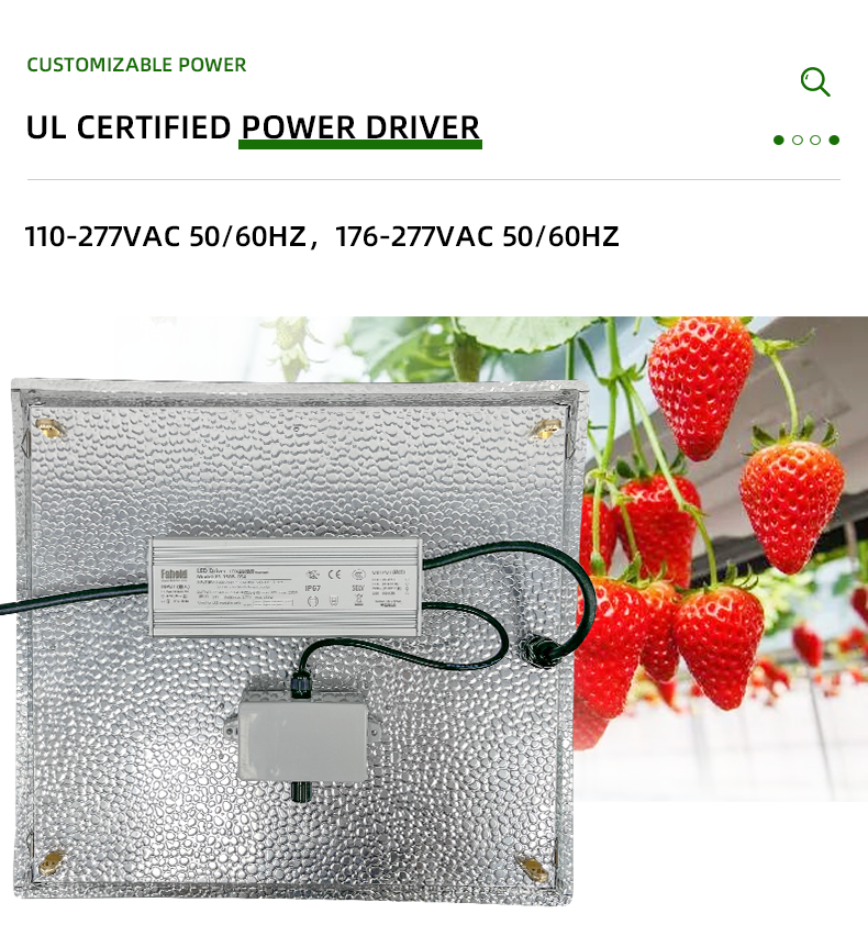 ANDY Quantum Board Grow Light 100W 150W 300w Full Spectrum LED Grow Light