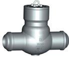 China KATA Valve API 6D Pressure Sealed Check Valve factory