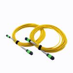 12CORES MPO MTP Patch Cord 3.0MM