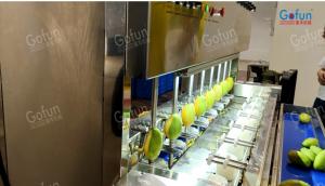 China Intelligent Mango Peeling Machine Supplier For Papaya Apple Potato Peeling Processing factory