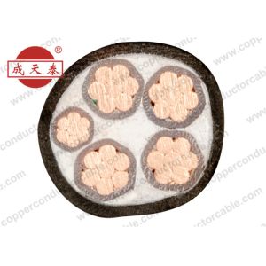 China IEC 60502 Copper Conductor Cable XLPE Insulated PVC Sheathed Multi Core on sale
